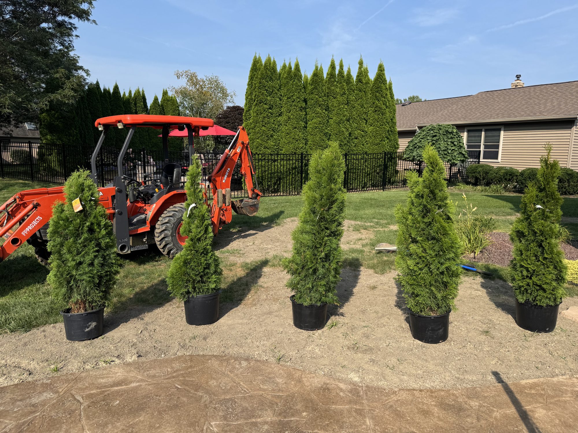 Row of arborvitae ready for planting with an FP Projects tractor behind